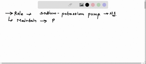 what-is-the-role-of-the-sodium-potassium-pump-in-the-nervous-system-where-do-you-find-the-pumps-what-is-the-resting-potential-what-is-the-charge-inside-of-the-neuron-what-is-the-charge-outsi-48015