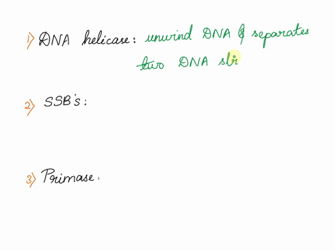 exercise-148-unanswered-2-attempts-left-please-refer-to-the-videos-on-dna-replication-or-a-reputable-internet-source-eduorgnet-gov-to-match-the-proteins-or-enzymes-with-their-role-in-dna-rep-71247