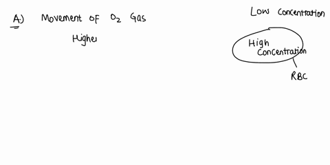 o2-02-02-02-low-concentration-0z-0z-02-0z-hlgh-concentration-02-red-blood-cell-considering-the-difference-in-oxygen-partial-pressure-concentration-in-the-picture-what-would-be-the-direction-40114