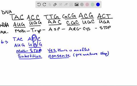 classify-each-of-the-following-mutation-as-either-framoshift-deletion-insertion-or-bubstitution-missense-silent-or-nonsenso-mutalion-use-the-genetic-code-6-pts-original-wild-type-dna-sequenc-19438