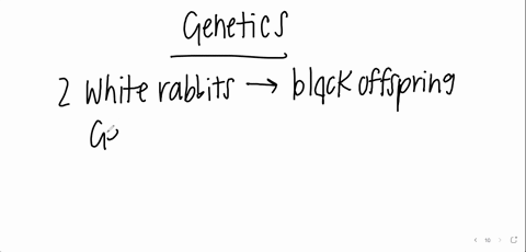 if-two-white-rabbit-produce-a-black-offspring-the-parents-genotypes-for-color-must-be-a-heterozy-gous-b-homozygous-white-c-homozygous-black-d-not-enoigh-imformation-was-given-99777