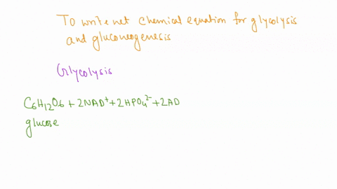 write-the-balanced-net-chemical-equations-for-glycolysis-and-gluconeogenesis-26512