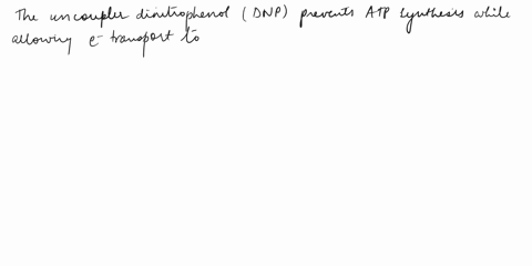 the-uncoupler-dinitrophenol-dnp-prevents-atp-synthesis-while-allowing-clectron-transport-t0-proceed-because-dnp-transports-protons-out-of-the-mitochondria-after-they-ae-pumped-out-o-the-matr-56243