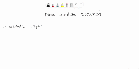 male-white-crowned-sparrows-must-learn-to-sing-a-particular-dialect-of-the-full-song-of-their-specie-36693