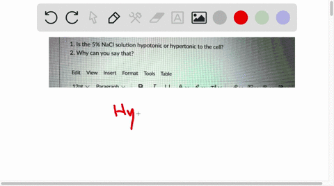 1-is-the-5-nacl-solution-hypotonic-or-hypertonic-to-the-cell-2-why-can-you-say-that-edit-view-insert-format-tools-table-04402