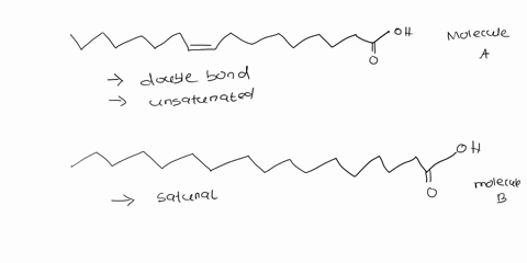 conslder-the-two-fatty-aud-motecules-belor-which-of-the-following-statements-weh-molecule-molecule-malecult-higher-meltina-dcaannultacn-eone-aatunicuund-umaaturuicd-voletule-highcr-mclting-p-86109