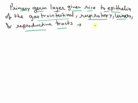 which-primary-germ-layer-gives-rise-to-epithelia-of-the-gastrointestinal-respiratory-urinary-and-reproductive-tracts-endoderm-mesoderm-or-ectoderm-45098