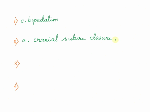 1-features-showing-that-australopithecus-afarensis-is-a-hominin-include-a-large-brain-the-lack-of-a-tail-bipedalism-thin-molar-enamel-2-australopithecus-africanuss-taung-childs-maturation-ra-45353