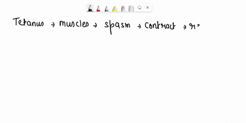 in-the-disease-tetanus-muscles-undergo-periods-of-spasm-in-which-they-maximally-contract-and-are-unable-to-relax-during-such-a-spasm-the-a-scientist-has-produced-a-type-of-myosin-that-can-bi-64019