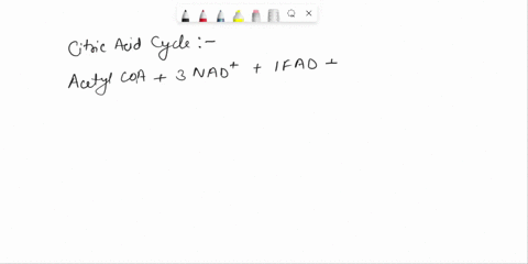depicted-below-fill-in-the-appropriate-the-overall-reaction-for-the-citric-acid-cycle-oicbioetri-cbeficients-for-each-reactant-product-stoichiometric-fad-gdp-hzo-acetyl-coa-nad-3h-fadh-gtp-c-33636