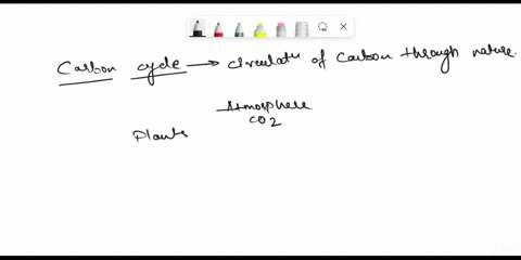 what-best-describes-the-association-between-the-carbon-cycle-plants-and-animals-81239