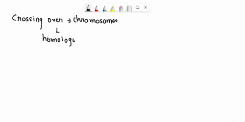 question-4-genetic-recombination-occurs-js-result-of-0-independent-assortment-of-chromosomes-0-segregation-of-chromosomes-0-polymorphism-in-the-dna-sequences-0-crossing-over-of-chromosomes-m-38395