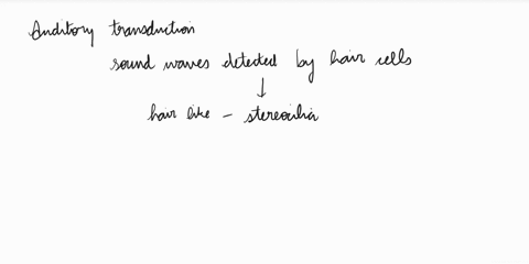 question-16-wnich-of-the-following-events-is-mediated-by-the-entry-of-k-ions-through-mechanically-gated-ion-channels-auditory-iransduction-gustatory-transduction-of-sweetness-0c-olfactory-tr-59017