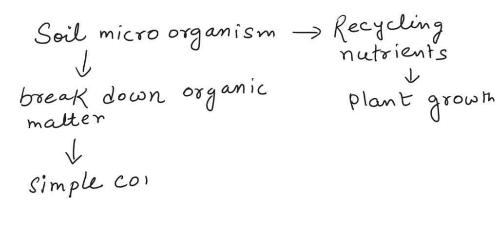 SOLVED Unlike energy, nutrients can never be lost but are continually