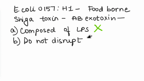 e-coli-0157h7-is-a-strain-that-causes-food-borne-disease-and-produces-shiga-toxin-which-is-an-ab-exotoxin-these-toxins-have-multiple-b-subunits-for-adhesion-and-the-a-subunit-to-inhibit-host-93417