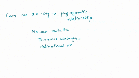 activily-amino-acid-sequence-alionmoni-as-montonod-provalisly-unottionary-changus-ln-be-observcd-comparng-amno-acid-point-mutatons-men4-squence-of-u-nmlcin-ituli-common-belwoor-ihe-specie-ol-38709