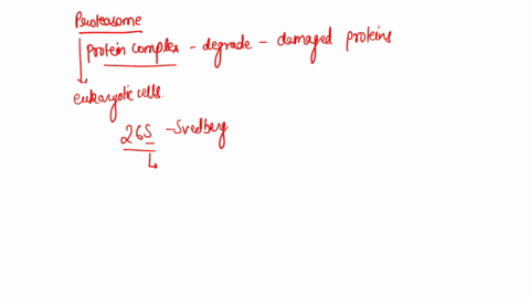 choose-the-statements-that-correctly-describe-the-structure-and-function-of-proteasomes_-19s-20s-19s-the-proteasome-hydrolyzes-the-unfolded-proteins-to-free-amino-acids-which-are-then-recycl-74286