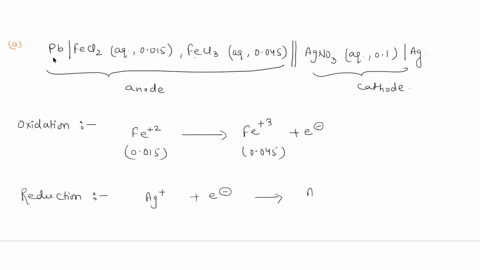 identify-the-anode-and-cathode-for-the-following-electrochemical-cells-and-write-the-oxidation-or-reduction-reaction-at-each-electrode-a-pt-feclz-aq0015-feclsaq0045-aq01-ag-agno3-b-ag-agbr-s-19315