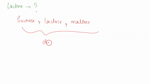 lactose-a-sugar-in-milk-is-composed-of-one-glucose-molecule-joined-by-a-glycosidic-linkage-to-one-galactose-molecule-how-is-lactose-classified-select-one-a-as-a-pentose-b-as-a-disaccharide-c-38669