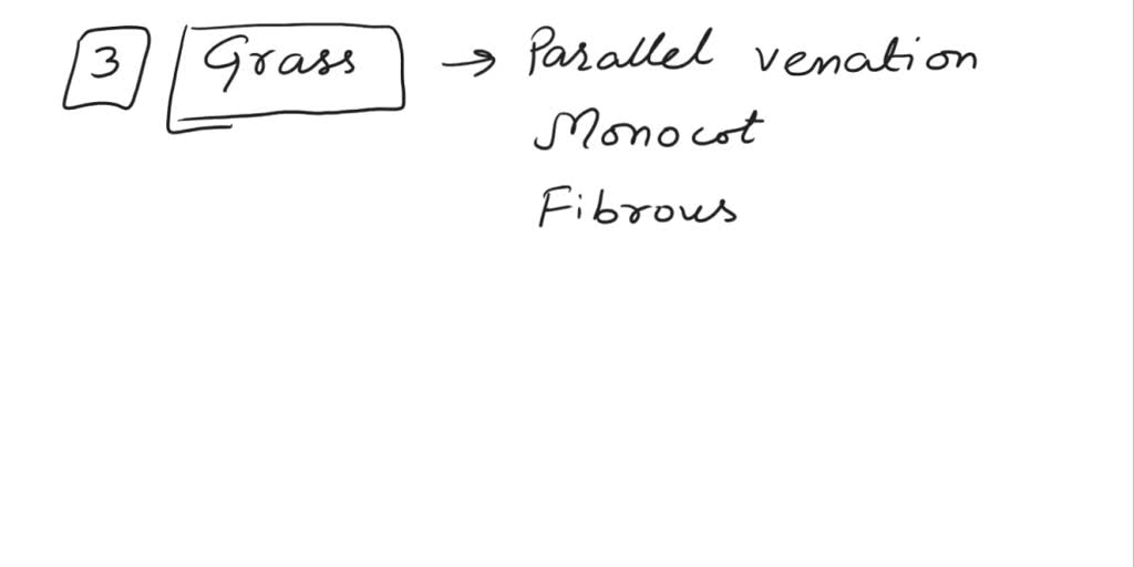 SOLVED * Name of the plant * Leaf venation * Number of cotyledons