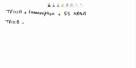 chepir-18-describe-ihe-roles-tfiiia-tfiiib-and-tfiiic-doscribe-ine-struciure-and-tne-function-of-the-tata-box-chepiar-19-describe-ihe-stages-pre-mrna-splicing-how-the-intron-splicing-process-98368