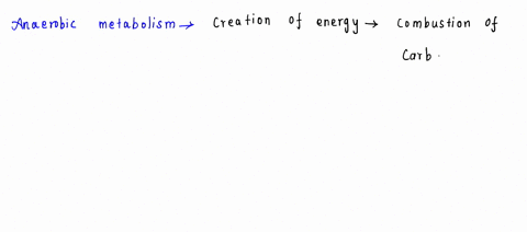 which-of-the-following-is-part-of-anaerobic-metabolism-b-the-electron-transport-chain-c-the-citric-acid-cycle-a-pyruvate-synthesis-from-glucose-a-b-and-cis-correct-b-and-c-is-correct-57307