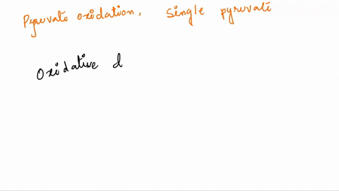 the-products-of-pyruvate-oxidation-per-single-pyruvate-are-qa2-nadh2-co22-acetyl-coa-0b-nadh-1-co2-1-acetyl-coa-oc-1nadh-1-co2-1atp-d4-nadh2-c021-atp-89744