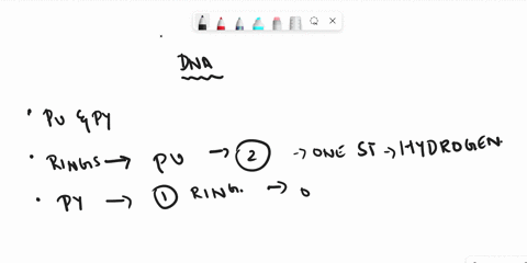 in-the-dna-structure-a-purine-molecule-always-binds-with-a-pyrimidine-molecule-how-would-you-expect-the-structure-to-differ-if-adenine-forms-base-pairing-with-guanine-and-cytosine-forms-base-88072