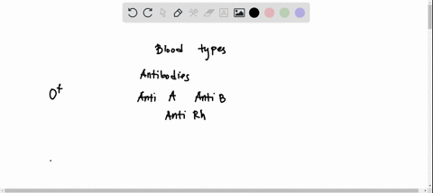 a-person-with-type-a-positive-blood-has-which-antibodies-11999