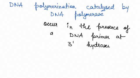 dna-polymerization-catalyzed-by-dna-polymerase-can-only-occur-in-the-presence-of-a-a-rna-primer-at-the-2-hydroxy-group-b-dna-primer-at-the-3-hydroxyl-group-c-rna-primer-at-the-3-hydroxyl-gro-56939