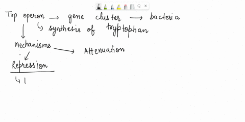 trp-operon-the-rate-of-transcription-of-the-trp-operon-in-e-coli-is-controlled-by-both-repression-and-attenuation-lejor-pepcce-7-mel-lijnctrilatn-tie-m-uatte-ie-rerbn-reron-1677-feron-2-ldci-35629