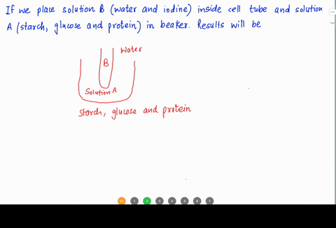 in-lab-this-we-showed-that-glucose-iodine-and-water-can-cross-the-dialysis-membrane-tubing-protein-and-starch-cannot-cross-the-dialysis-membrane-tubing-for-this-question-we-are-going-to-perf-25886