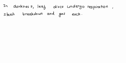 explain-what-is-happening-in-all-appropriate-metabolic-processes-in-the-leaf-discs-exposed-to-darkness-which-gasses-are-being-producedconsumed-which-gas-cause-the-leaf-to-flow-48107