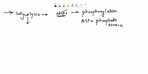in-the-dingrm-of-glycolysis-below-which-steps-cunsist-of-phosphorylation-whlch-atp-thc-phosphaie-sourcc-write-the-sicp-numnbcns-glycolysis-640-ho-heoh-304-hec-oho-d-ded-drotrnetot-veaanhau-6-03282