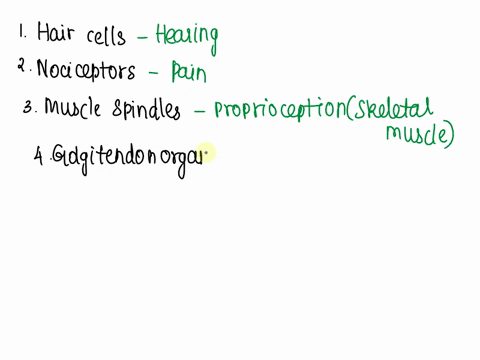 match-the-sensory-receptors-with-the-sense-that-each-is-specialized-for-hearing-golgi-tendon-organs-hair-cells-pain-proprioception-skeletal-muscle-mechanoreceptors-proprioception-tendons-mei-13197