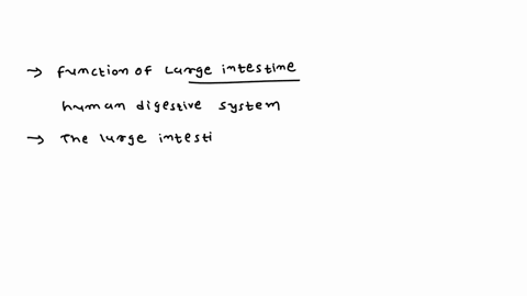 what-is-the-function-of-the-large-intestine-in-human-digestive-system-answer-in-detail-72953