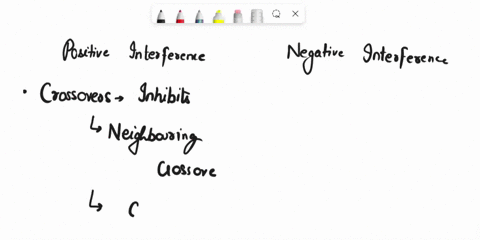 sort-the-following-descriptions-of-positive-and-negative-interference-into-the-correct-bins_-positive-interference-negative-interference-the-coefficient-of-coincidence-the-coefficient-of-coi-22272