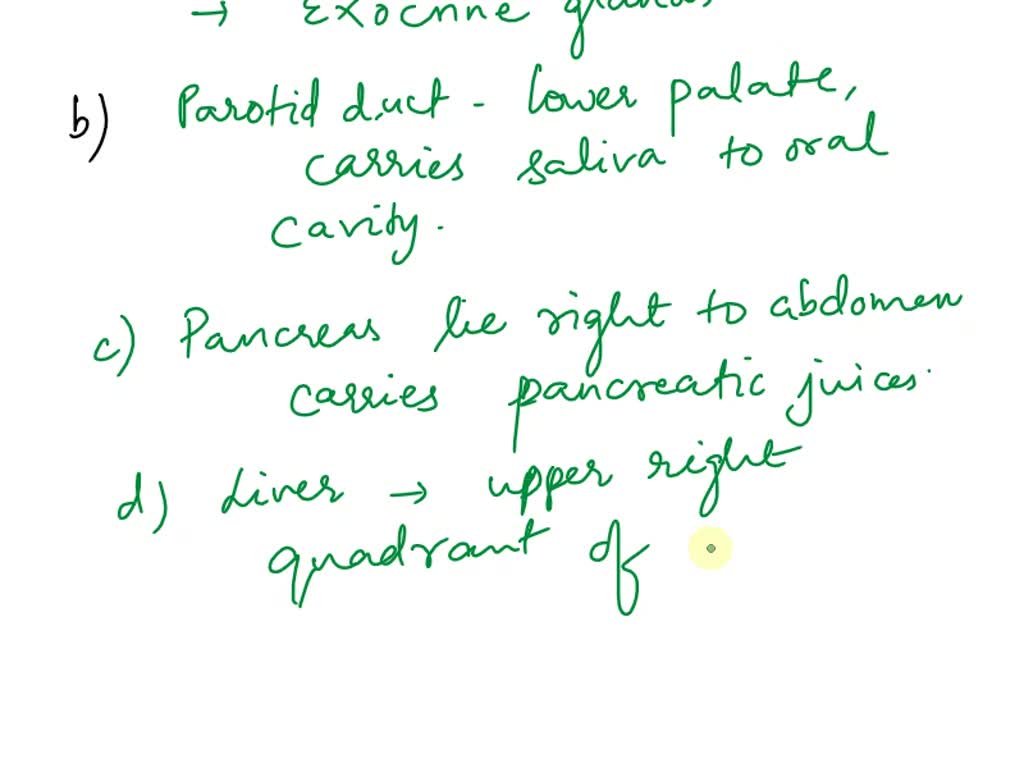 SOLVED ACCESSORY ORGANS OF DIGESTION The salivary glands, pancreas
