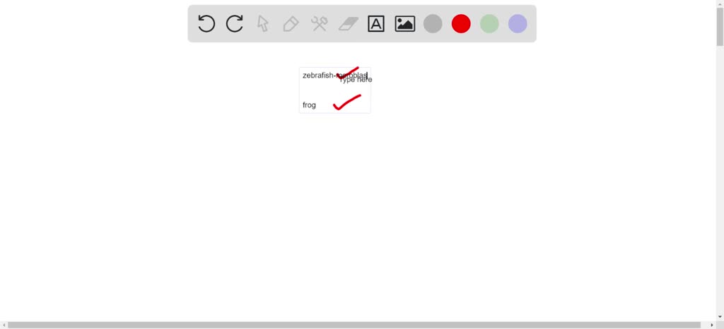 SOLVED: Zebrafish Model Compare and contrast zebrafish and frog embryo ...