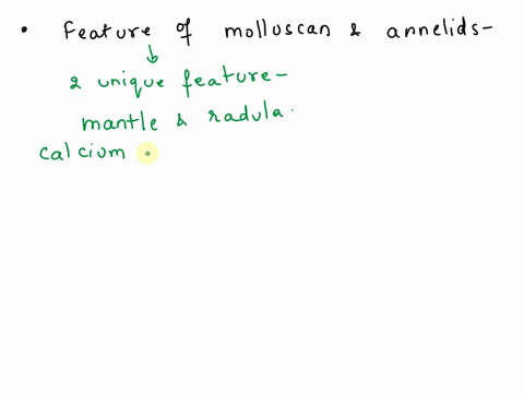 what-feature-do-you-think-is-most-conserved-across-all-the-molluscan-classes-and-why-is-it-so-similar-why-do-you-think-some-phyla-like-the-annelids-dont-show-the-same-amount-of-variety-02239