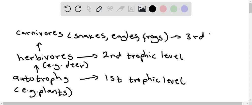 In a food chain of frog, grass, insects, and snake, a sign tropical ... Biology Diagrams