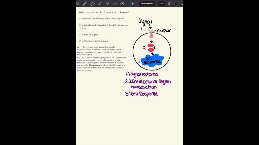 SOLVED: What is the purpose of cell signaling in eukaryotes? a. to change the behavior of the receiving cell b. to initiate a set of reactions through the receptor protein c. to SOLVED: What is the purpose of cell signaling in eukaryotes? a. to change the behavior of the receiving cell b. to initiate a set of reactions through the receptor protein c. to