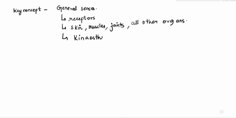 suppose-you-burned-your-tongue-and-could-not-taste-food-for-a-day-identify-the-sense-affected-a-olfa-39334