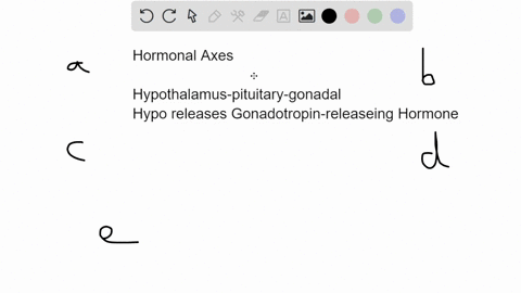 11-which-of-these-hormonal-axes-coordinates-human-female-reproduction-a-anterior-pituitary-posterior-pituitary-ovaries-bhypothalamus-anterior-pituitary-uterus-c-hypothalamus-posterior-pituit-36115