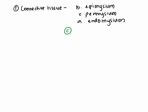isarcomr-dt-tubule-cgolgi-body-b-sarcolemma-a-sarcoplasmic-reticulum-eaponeurosis-dtendon-c-myolemma-b-perimysium-asuperficial-fascia-bone-or-to-another-muscle-is-an-aabc-cperimysium-bepimys-73918