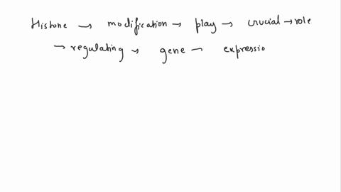 how-do-histone-modifications-affect-the-cell-how-are-histone-modifications-passed-on-to-the-next-cell-or-generation-define-epigenetics-69726