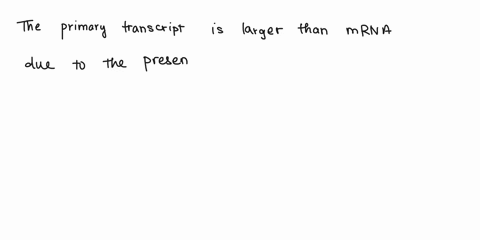 how-does-the-primary-transcript-in-the-nucleus-of-a-eukaryotic-cell-compare-to-the-final-mrna-the-primary-transcript-i5-the-same-size-as-thc-mrna-thc-primary-transcript-is-larger-than-the-mr-55854