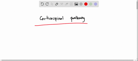 which-of-the-following-is-not-part-of-the-corticospinal-pathway-a-cerebellar-deep-white-matter-b-mid-46377