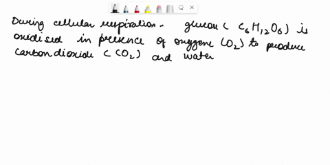 the-complete-reactions-ol-cellular-respiration-in-the-presence-oxygen-c6h1206-6-02-coz-hzo-cnergy-result-in-which-of-the-following-the-c6h1206-becomes-co2-and-the-02-becomes-hzo-reduction-co-59132