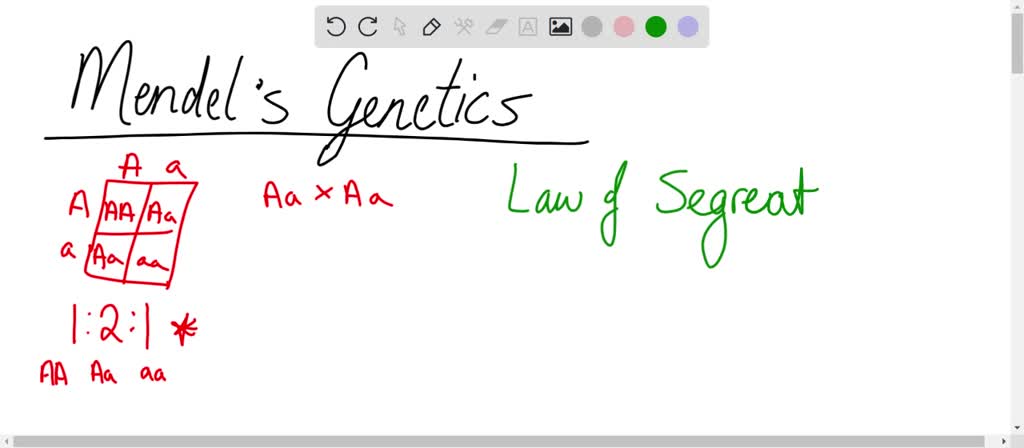 Mendals Set Math SOLVED: Below is Mendel's data: How does Mendel's data vary from data ...